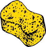 Schwamm col (sponge)
